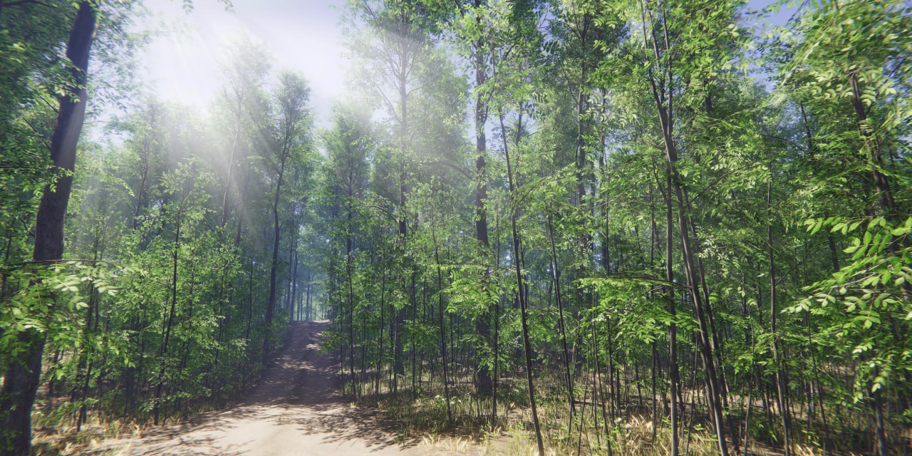 Nature Package - Forest Environment📱 - изображение 4